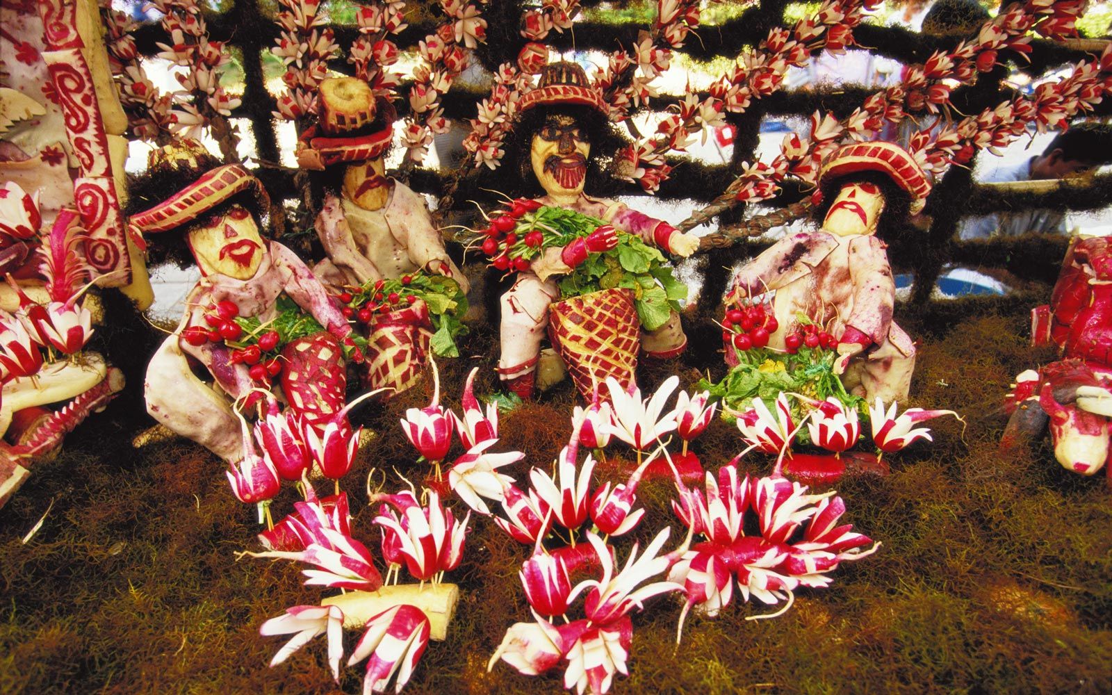 Mexicanske juleredder
