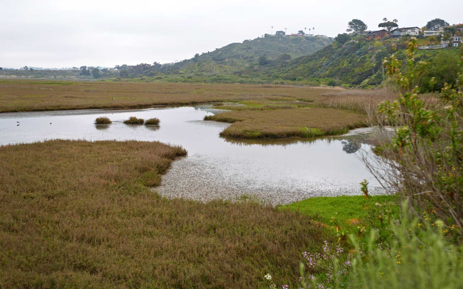 Landschaft der Lagune von San Elijo in Kalifornien