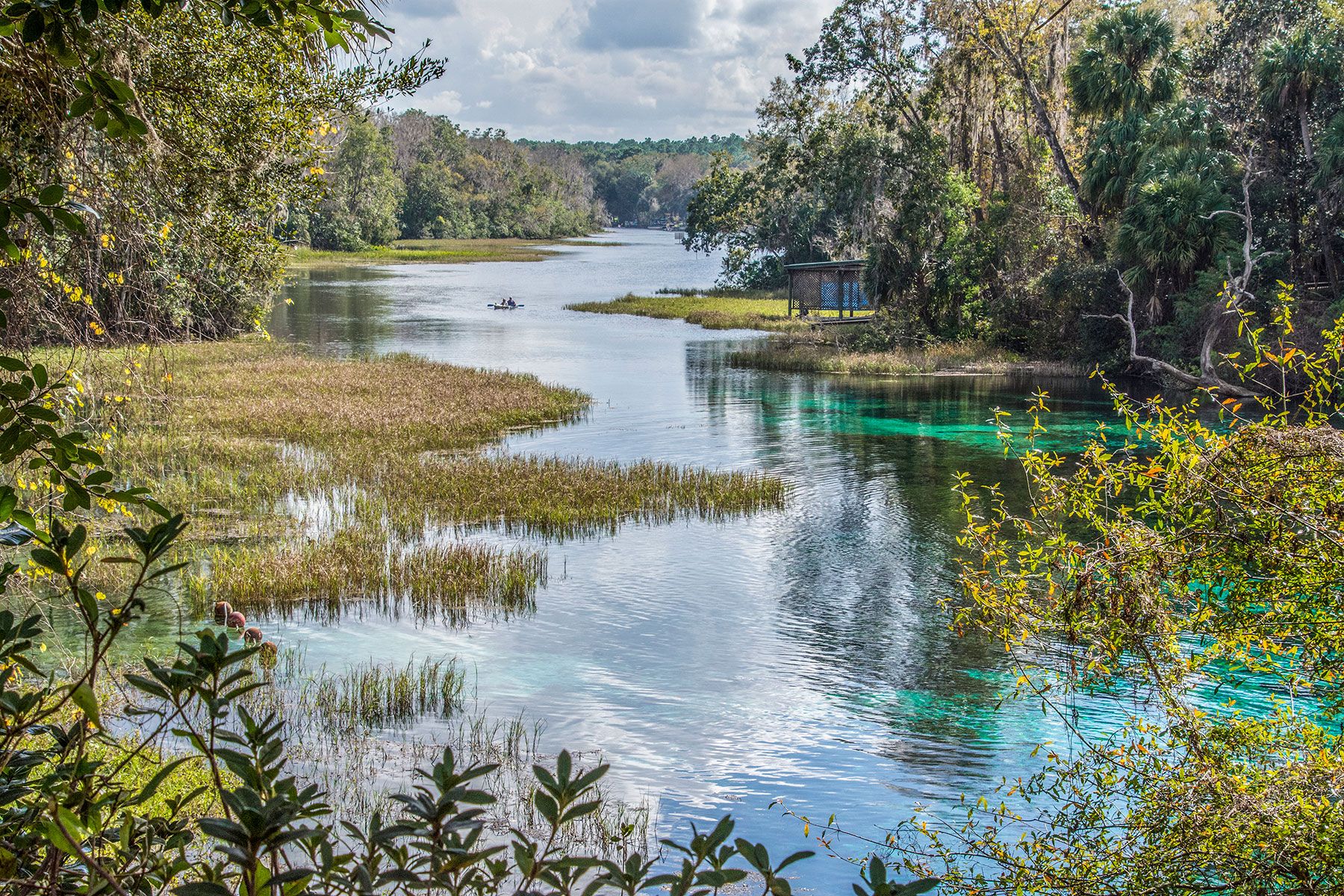Rainbow Springs, nekad poznata kao Blue Spring, arteška je proljetna formacija u okrugu Marion na Floridi,