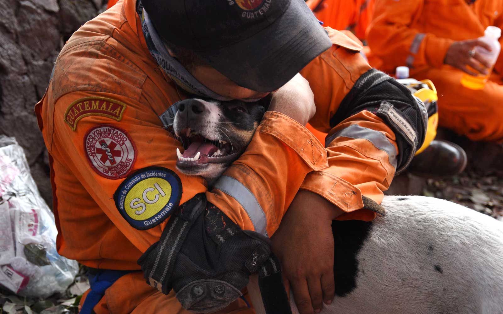 כבאי מתנדב מחבק כלב במהלך חיפוש אחר קורבנות יום ראשון