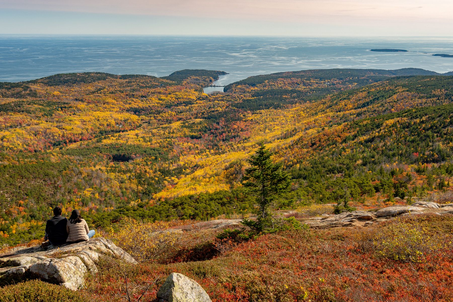 Stjenovita obala s lišćem u daljini u Nacionalnom parku Acadia
