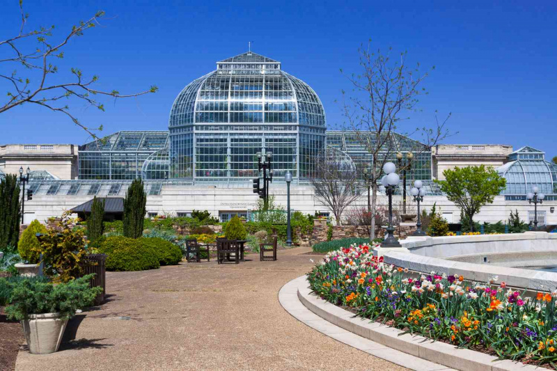   Giardino botanico degli Stati Uniti (USBG), Washington DC, USA.