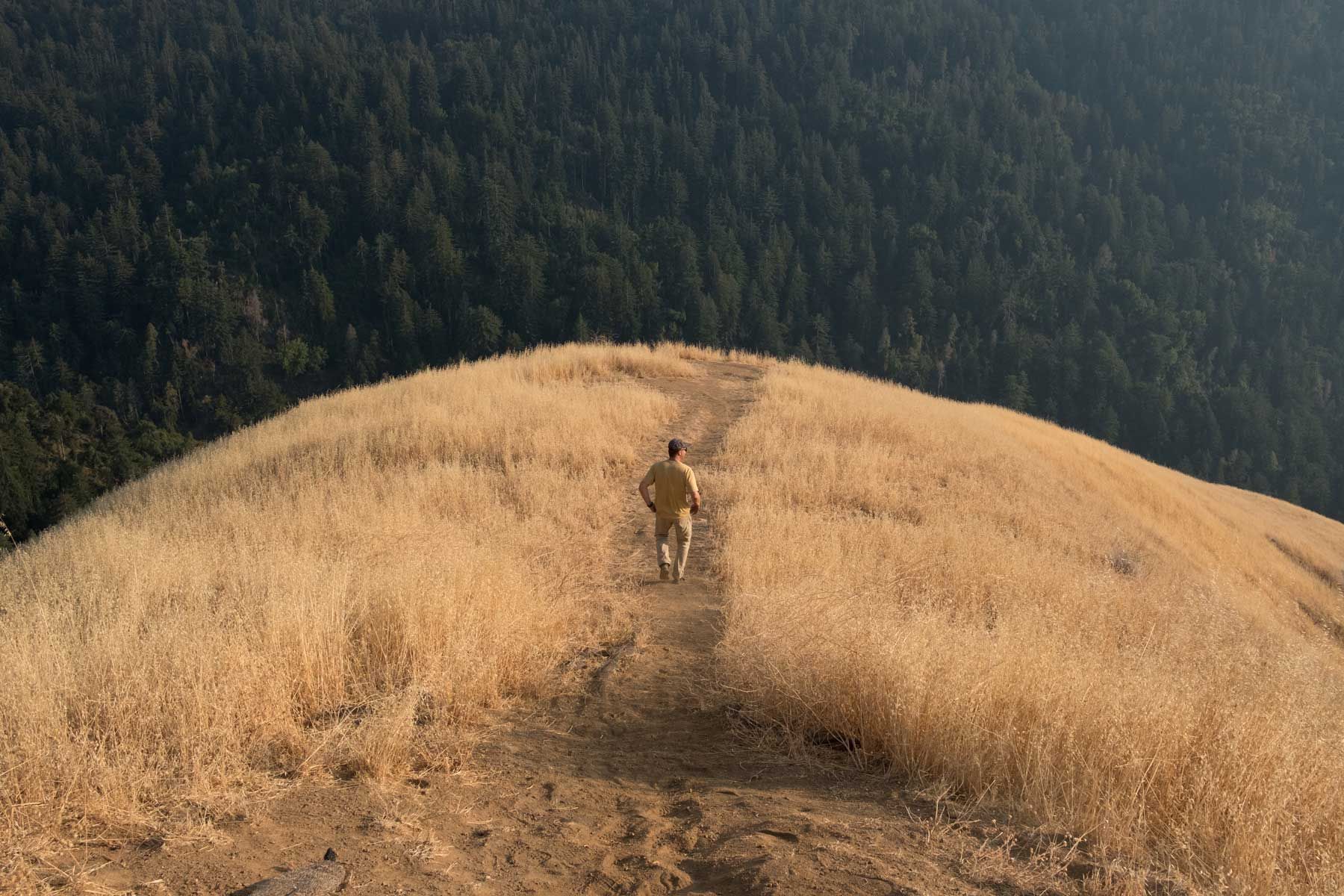 Калифорния штатындағы Биг Сурда шөпті таудың шетінен өтіп бара жатқан адам