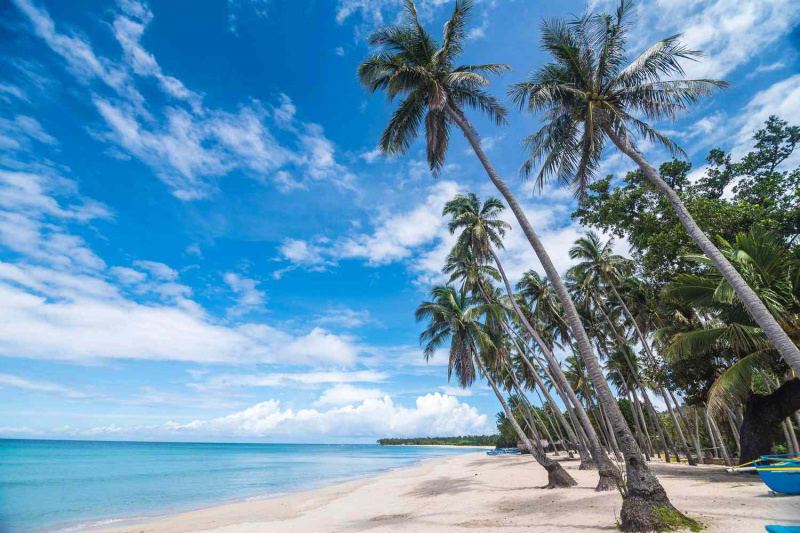   Nízký úhel pohledu na pláž s bílým pískem a vysoké kokosové palmy na pláži Saud, Pagudpud, Filipíny. Krásné slunečné počasí a tropický útěk.