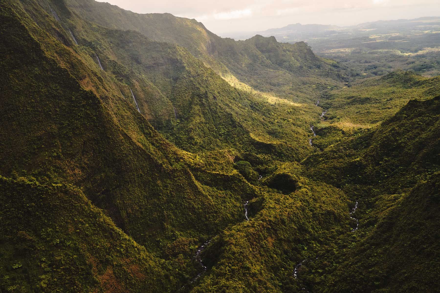 Grüne Canyonlandschaft auf der Insel Kauai